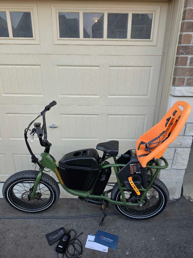 RadRunner 2020 Electric Utility Bike – Excellent Condition - photo 2