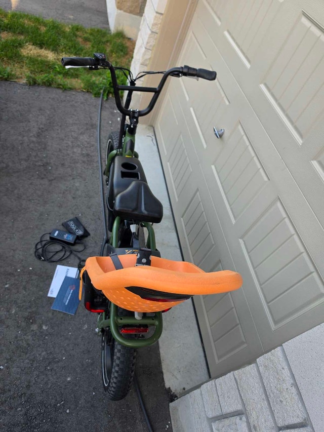 RadRunner 2020 Electric Utility Bike – Excellent Condition - photo 3