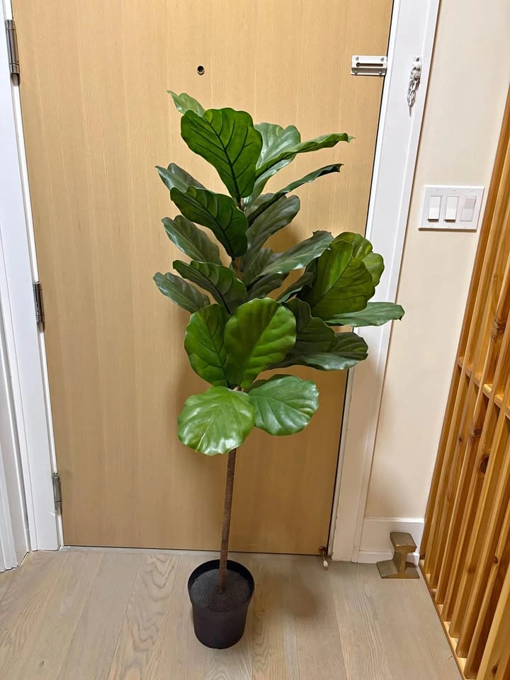 Faux Fig Tree
