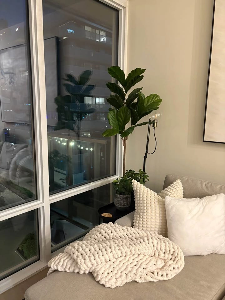 Faux Fig Tree - photo 2