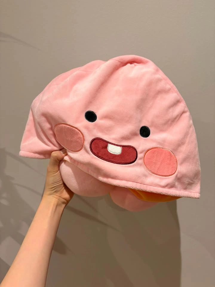 Kakao Friends x Baskin Robbins Reversible Neck Pillow - photo 5