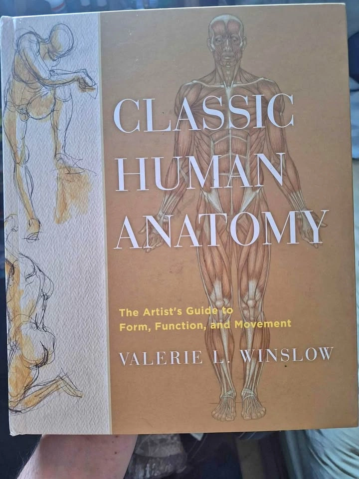 Classic human anatomy - hardcover book
