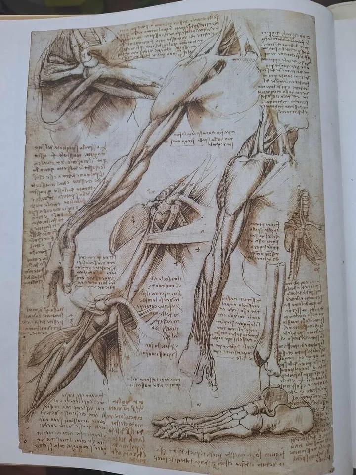 Classic human anatomy - hardcover book - photo 5