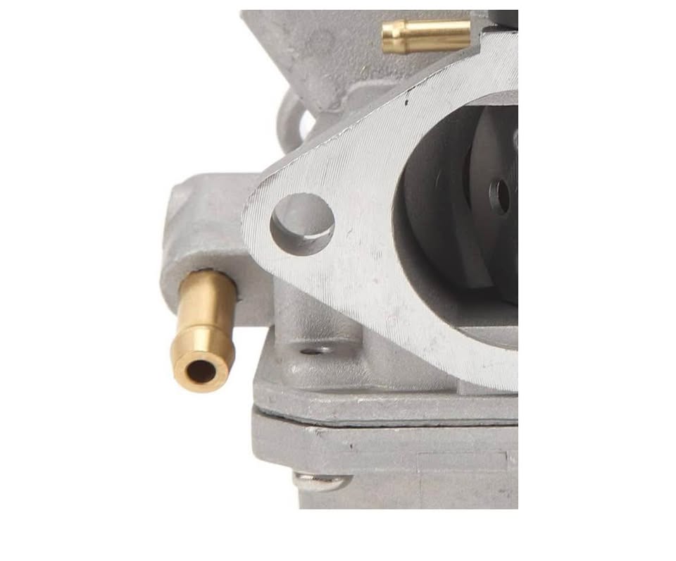 Carburetor for 6HP 4-Stroke Outboard Motor - photo 3
