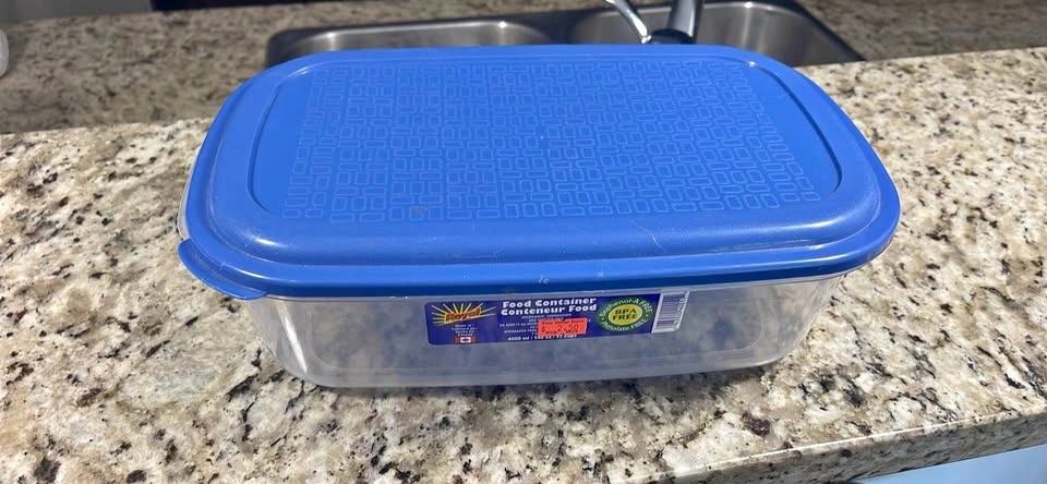 Food Container