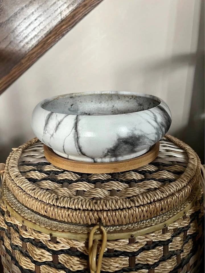 Succulent planter