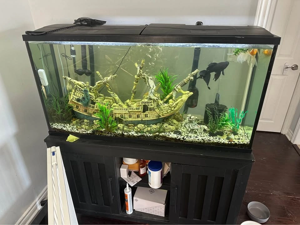 Fish tank and cabinet 65gal - photo 3