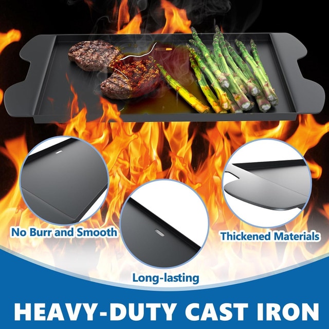 Full Size Griddle Insert for Weber Traveler Grill - photo 4