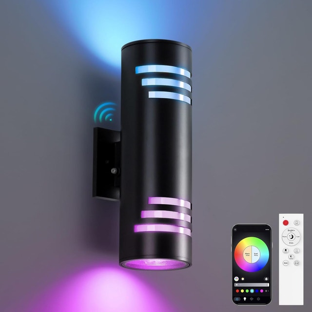 RGB CW Outdoor Wall Light Dusk to Dawn Remote Waterproof