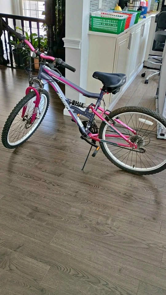 Avigo Mountain Ridge 26-inch Mountain Bike