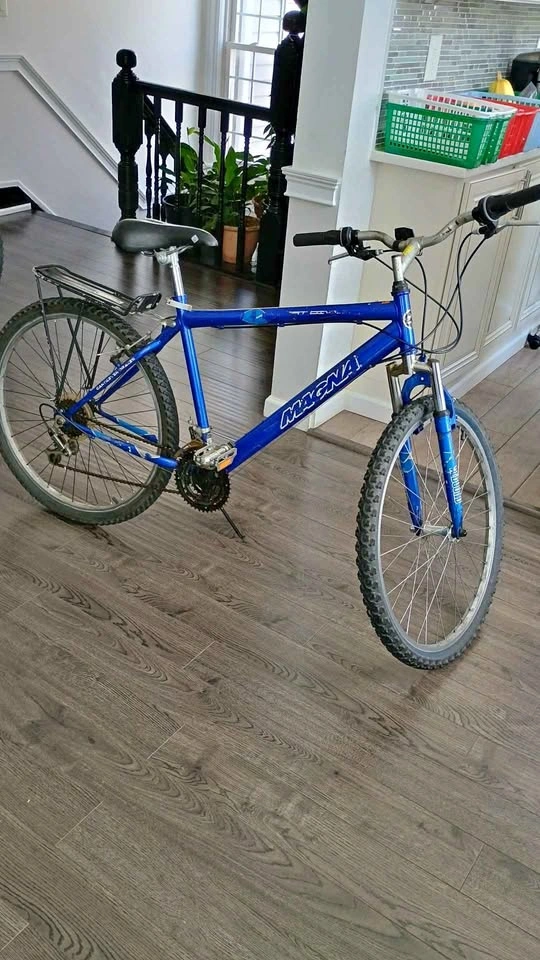 Magna Mountain Bike (Blue) with Rack 26-inch