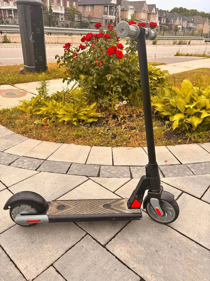 Gotrax Electric Scooter