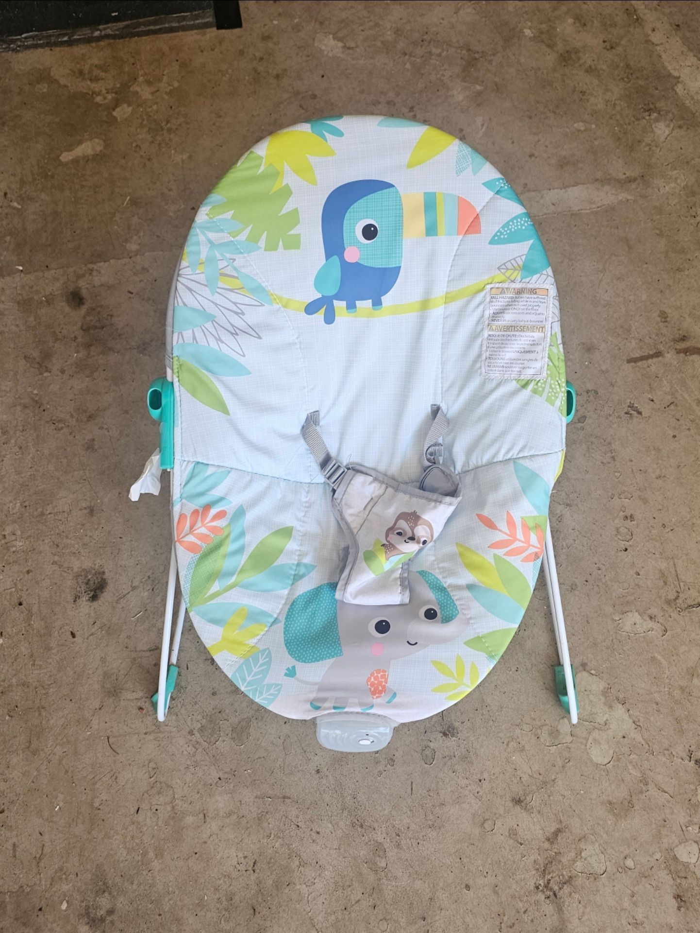Bright Starts Baby Bouncer