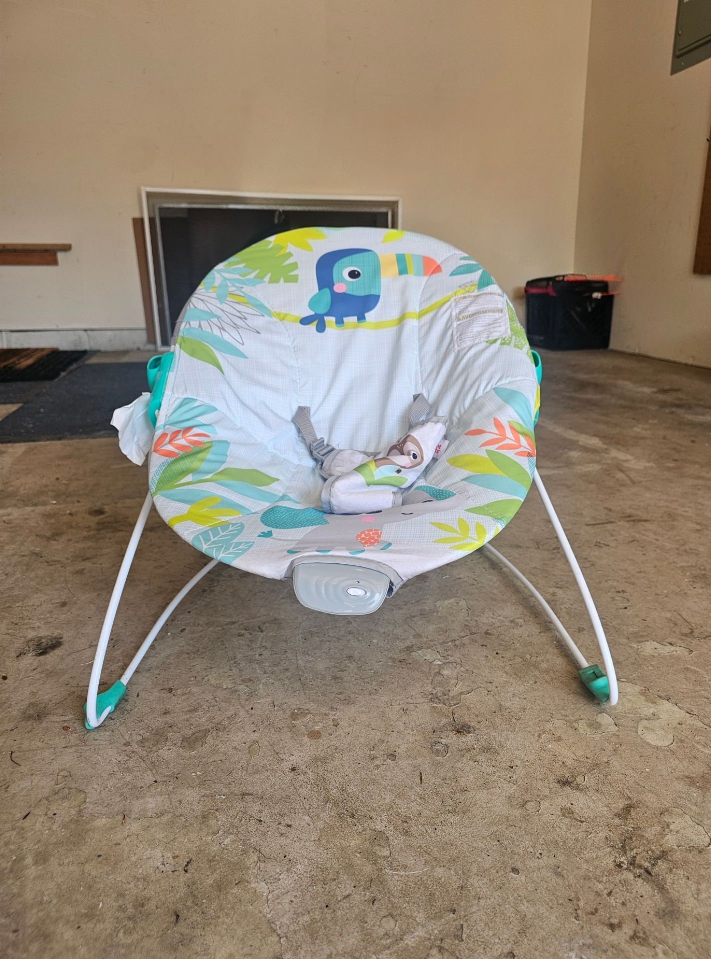 Bright Starts Baby Bouncer - photo 2