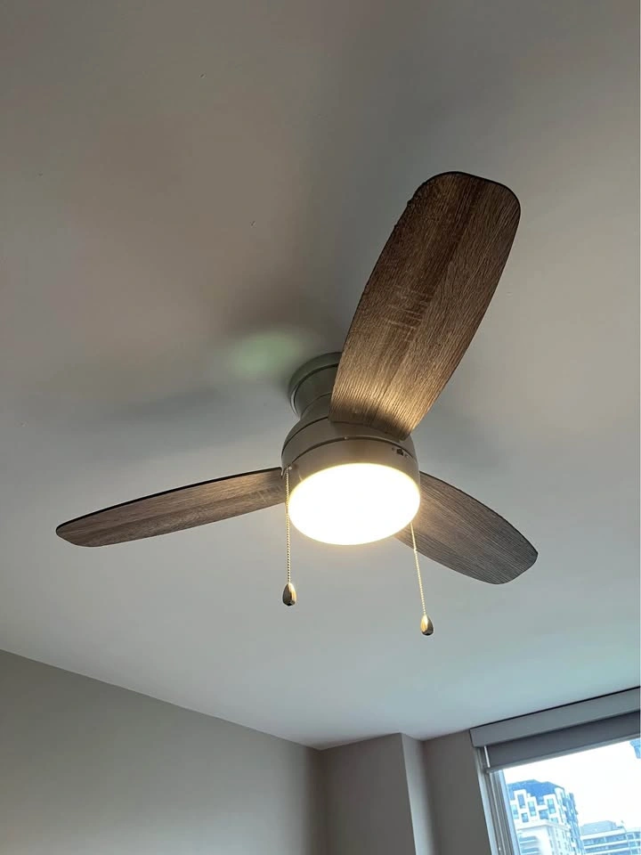 Indoor Ceiling Fan (2 available) - photo 2