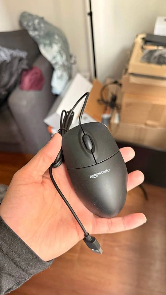 Amazon Basics Mouse