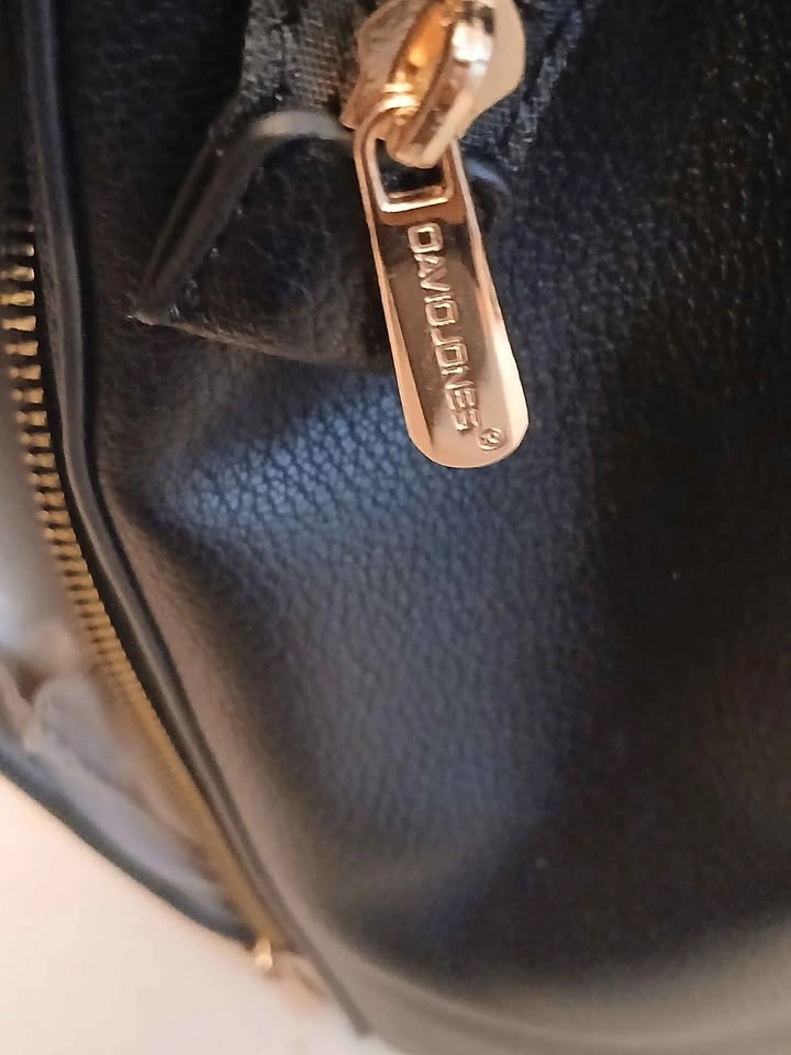 David Jones - photo 5