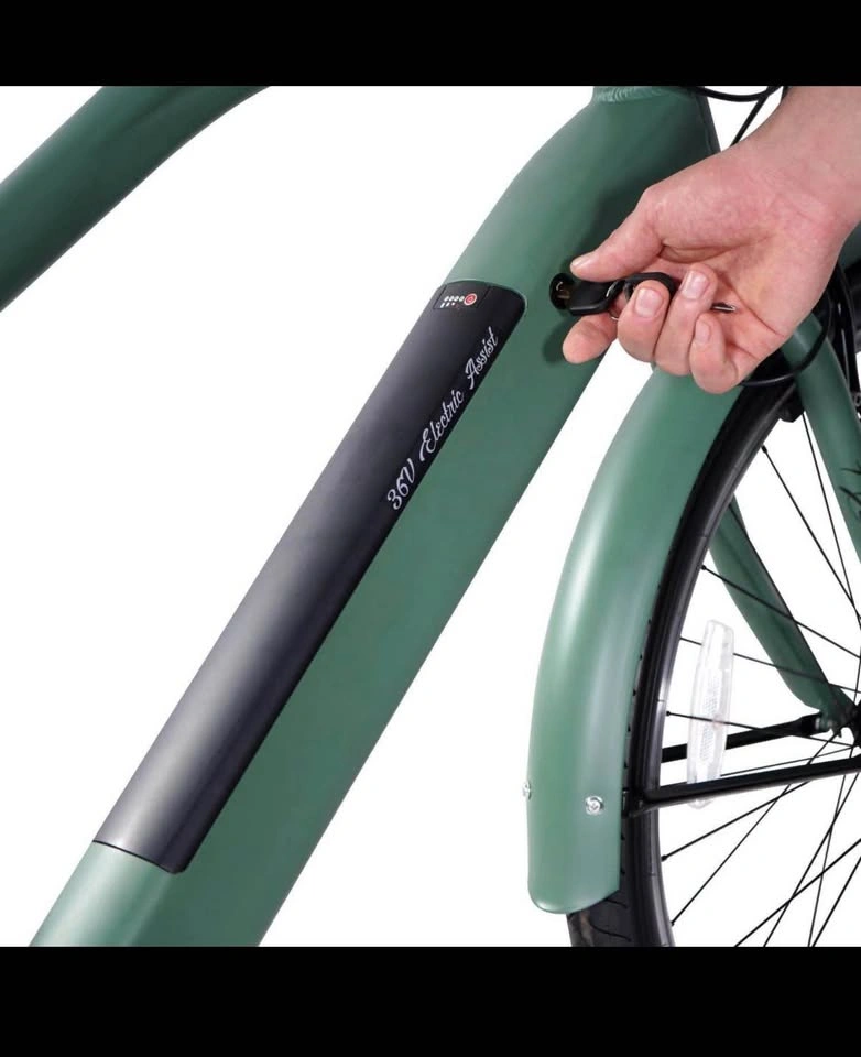 Hyper E-Ride 26" Men's 36V Electric Cruiser E-Bike - photo 4