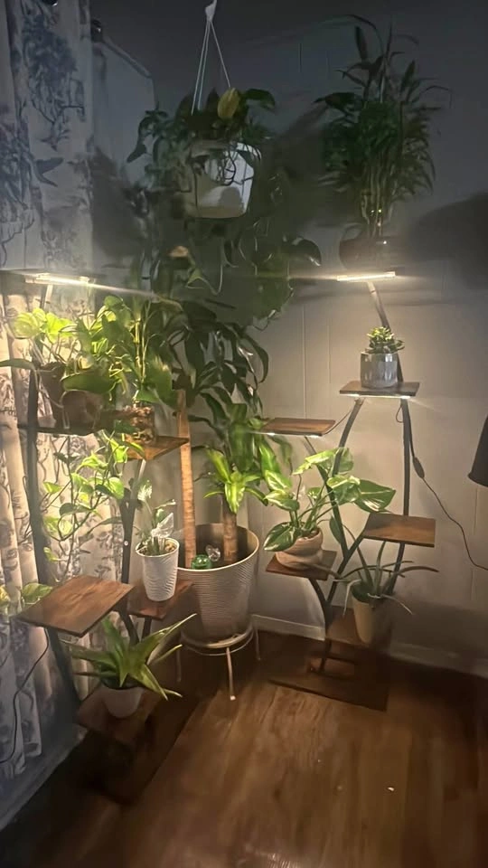 Plant stand indoor with grow lights- 2 pack corner