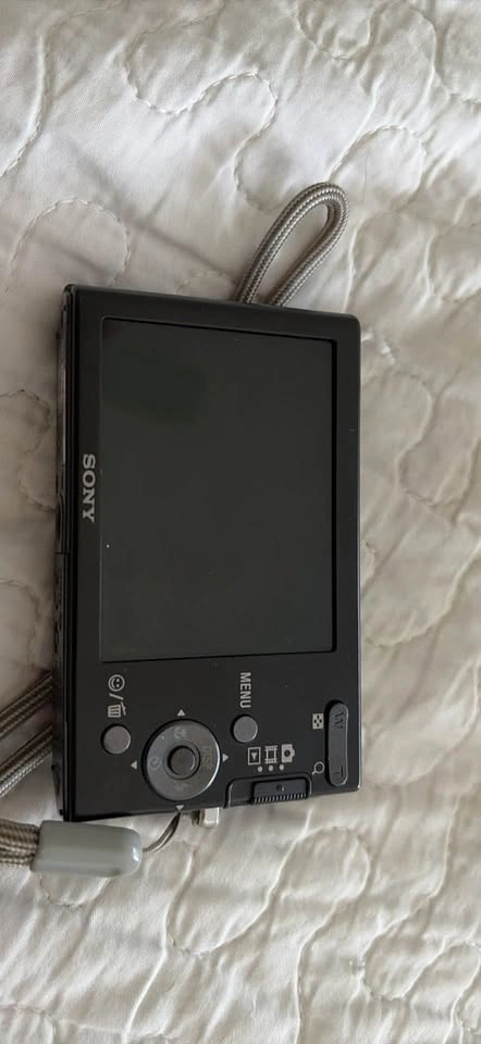 Sony Cyber-shot DSC-W180 10.1MP Digital Camera Bundle - photo 3