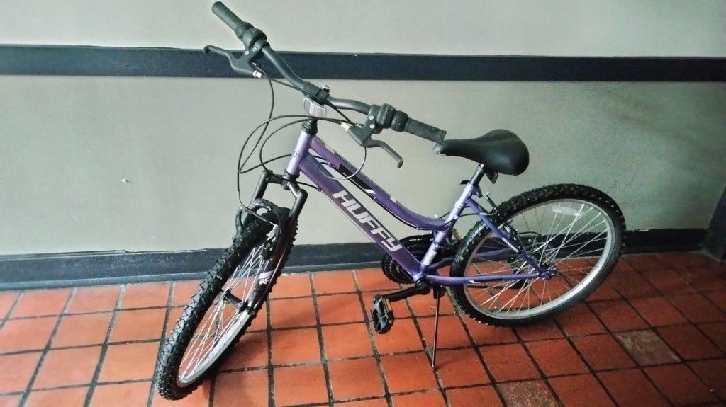 24 in Mountain Bike