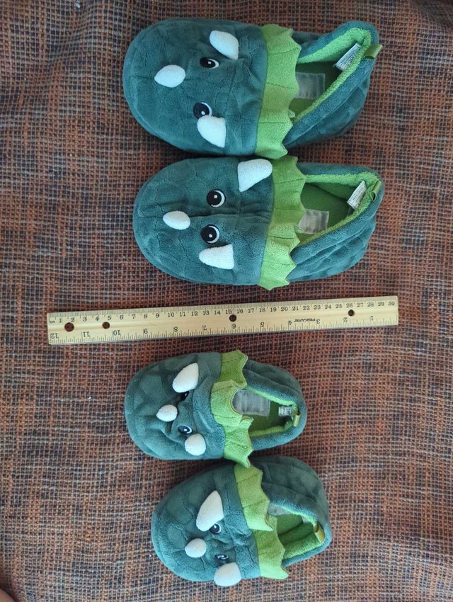 Dinosaur Slippers