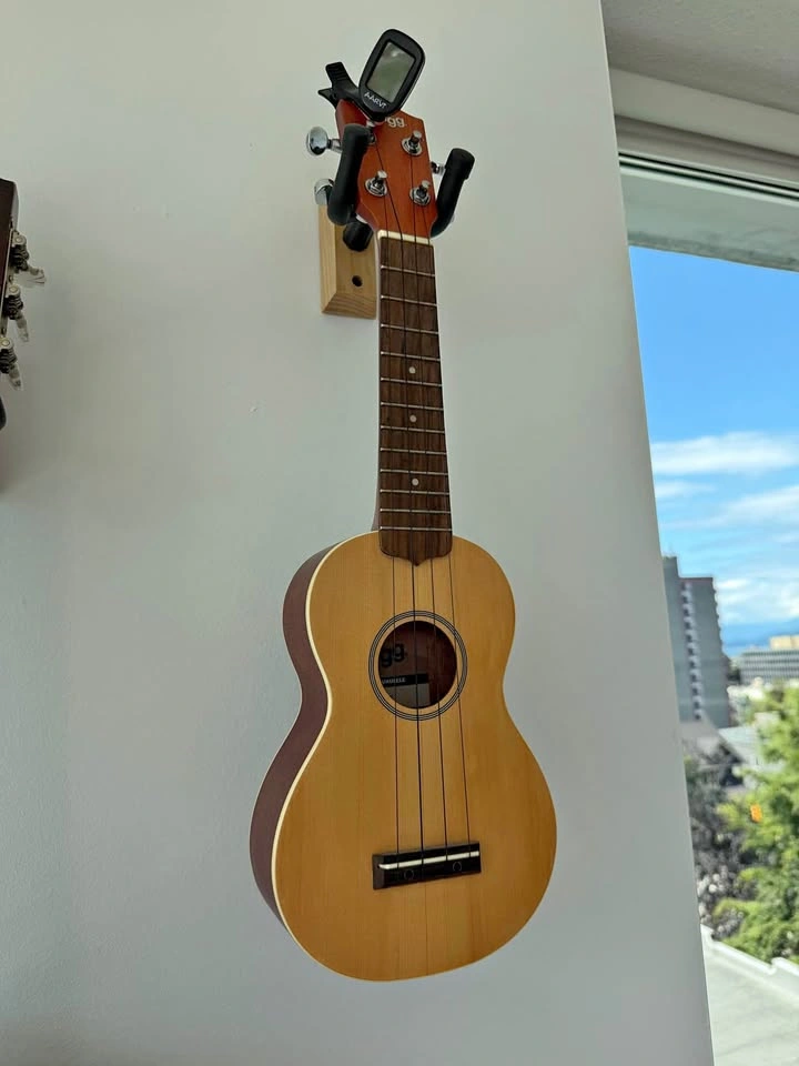 Ukulele with travel bag and tuner