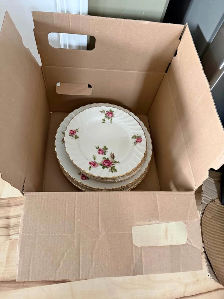 Vintage Rose Pattern China Plate Set