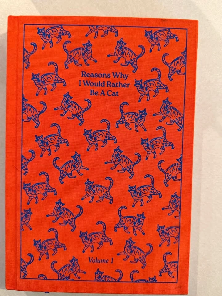 Cat journal notebook