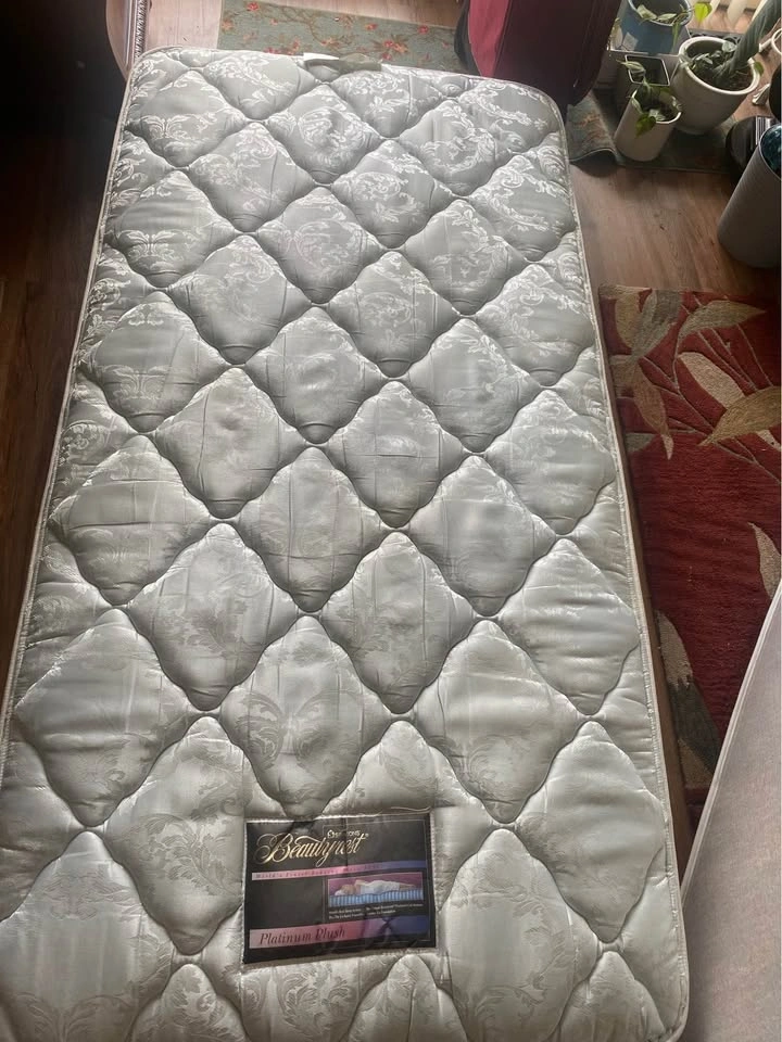 Twin BeautyRest Plush Spring Mattress - photo 5