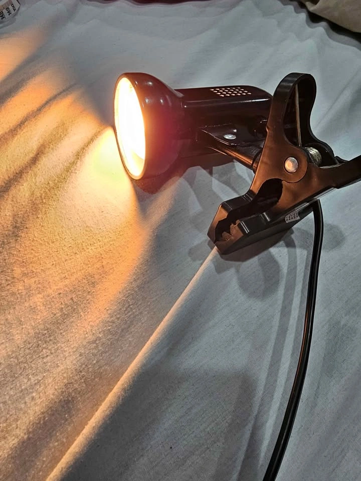 Black Clip-On Desk Lamp GS-T00525 - photo 3