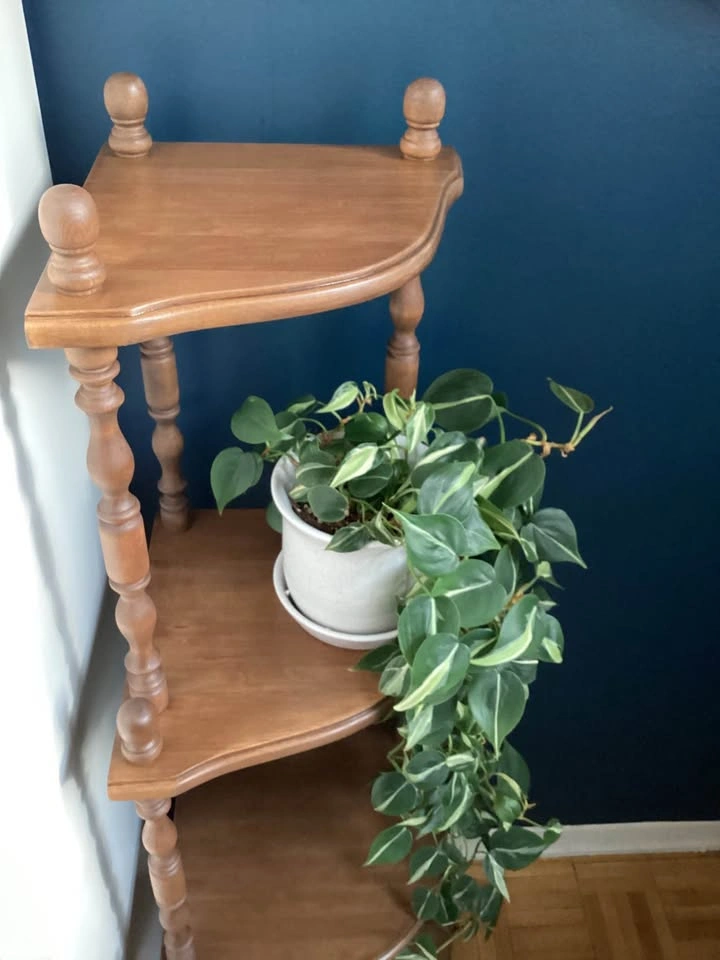 Newly Refinished Vintage Solid Wood Corner Display Shelf - photo 3