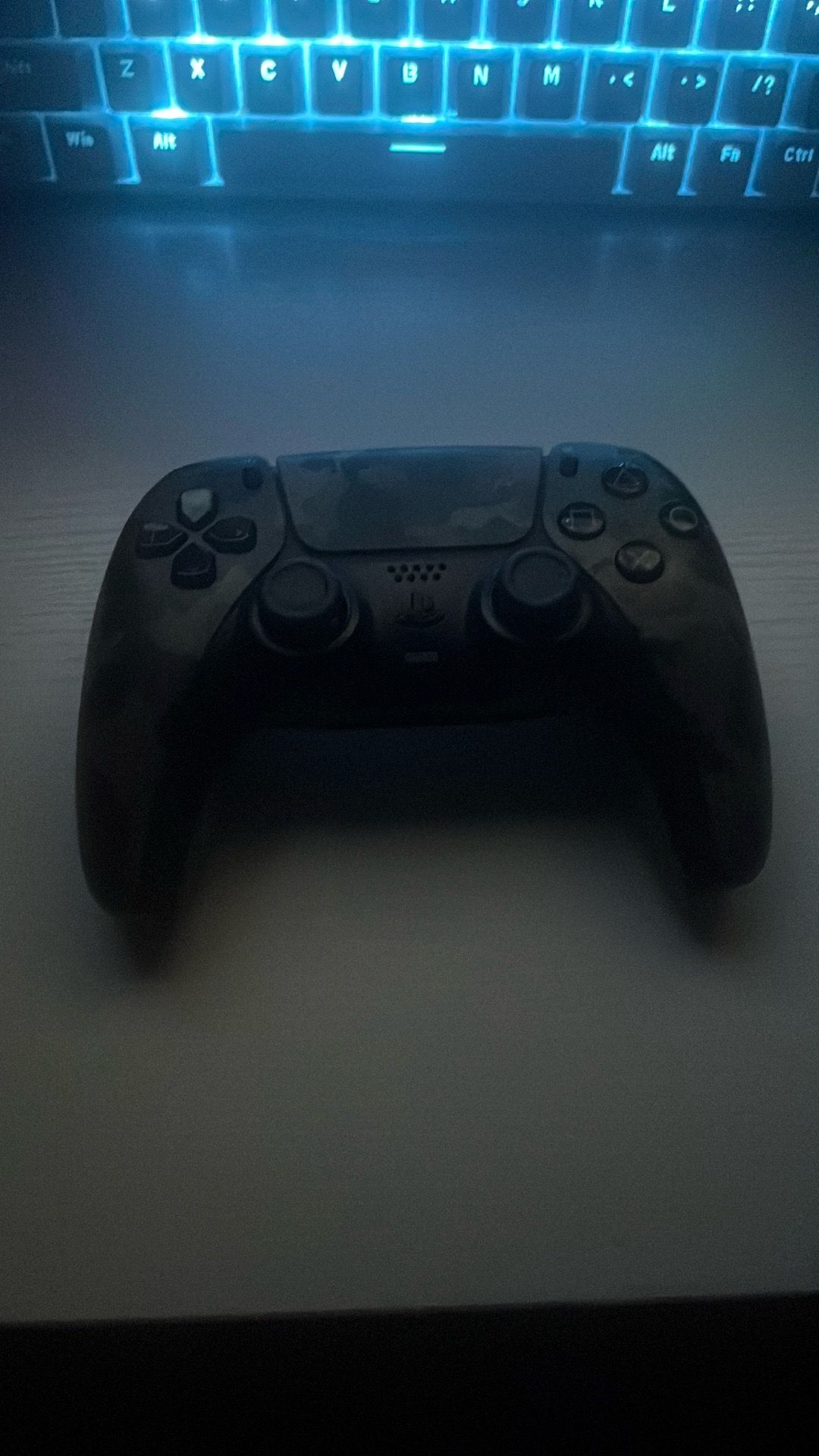 Ps5 controller camo color way