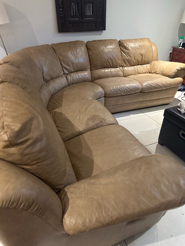 Natuzzi Sectional
