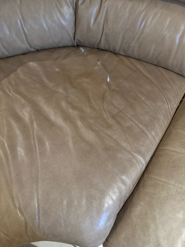 Natuzzi Sectional - photo 5