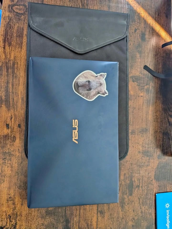 ASUS ZenBook 13 UX334FLC-AH79