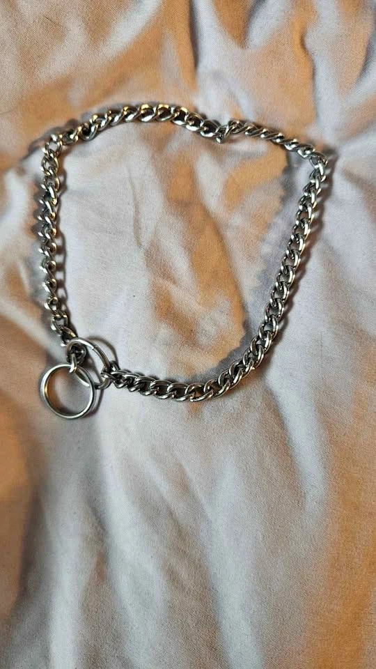 Dog collar