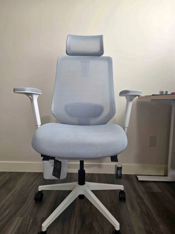 Branch Ergonomic Chair Pro - Excellent Condition