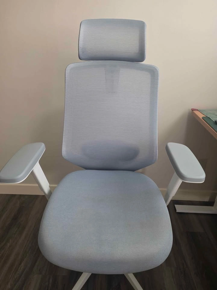 Branch Ergonomic Chair Pro - Excellent Condition - photo 2