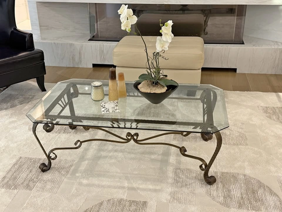 Elegant Glass & Metal Coffee Table Set