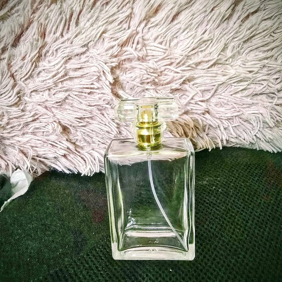 Empty Glass Perfume Bottle – 100ml Spray
