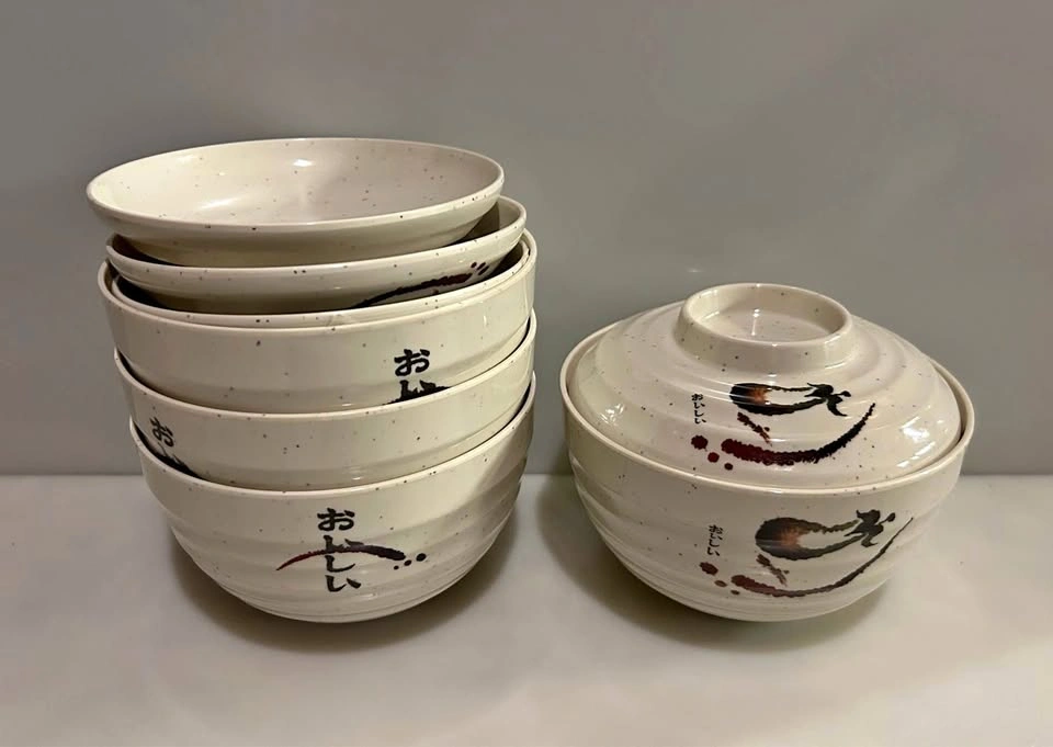 New Set of 4 Medium Size Japanese Bowls w/ Lids Melamine Ware