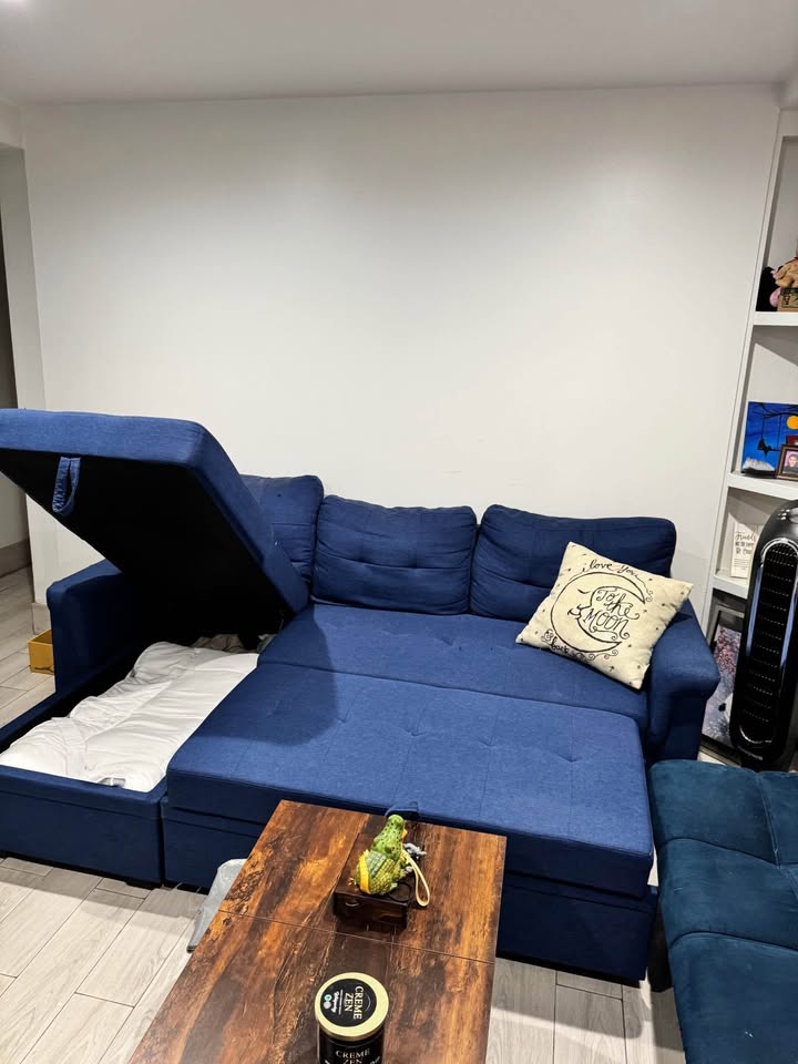 LEAVING NYC: 2-pc. Reversible Sleeper Sofa Chaise - photo 2