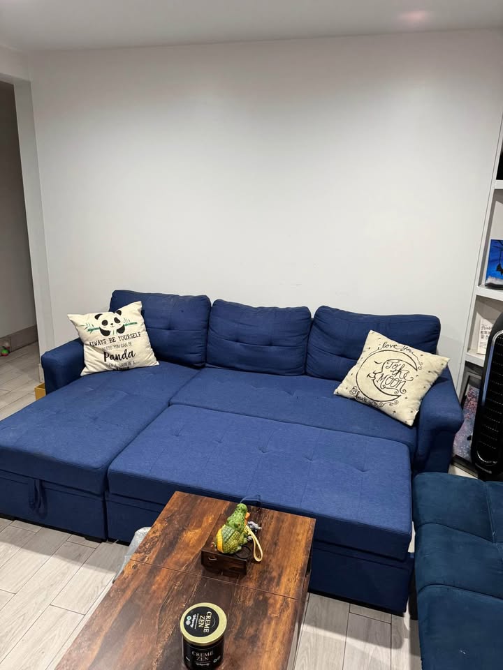 LEAVING NYC: 2-pc. Reversible Sleeper Sofa Chaise - photo 3