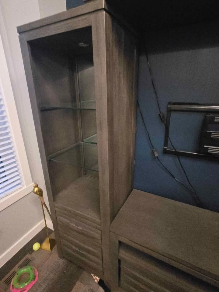 EUC Entertainment Unit - photo 2