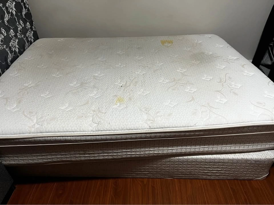 FREE Queen Size Mattress 10 inches