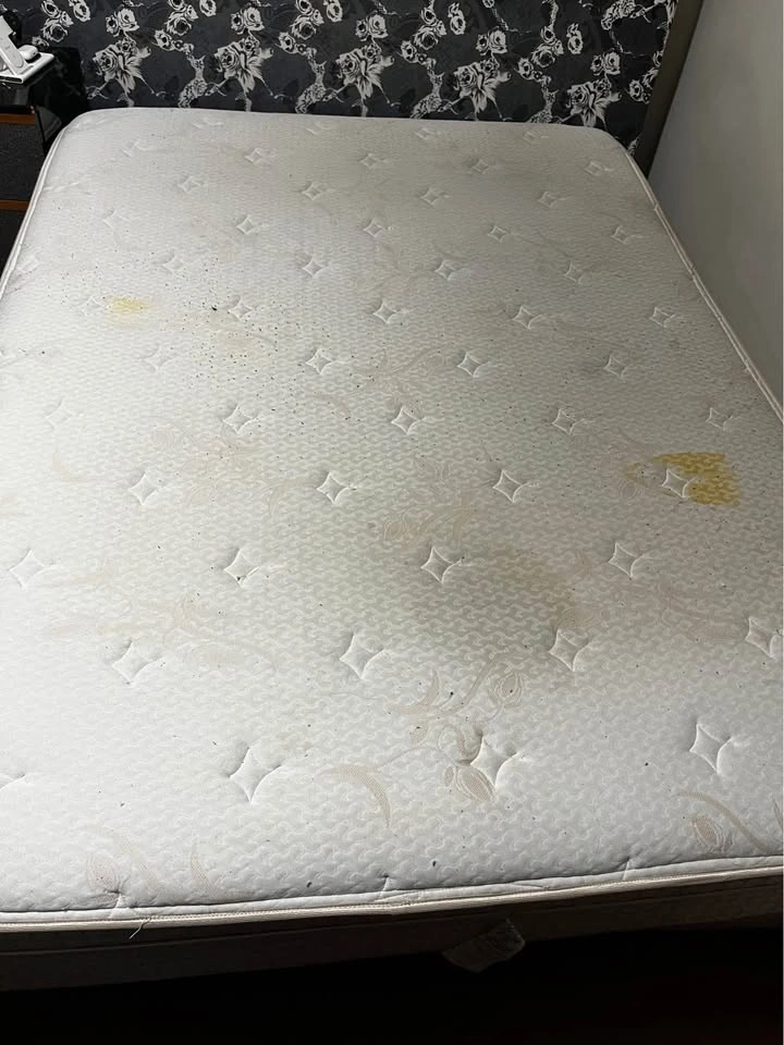 FREE Queen Size Mattress 10 inches - photo 2