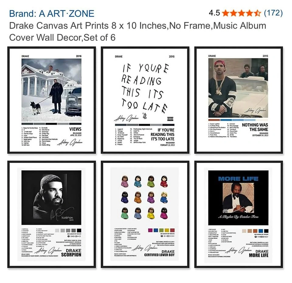 Drake Album Cover Canvas Wall Decor