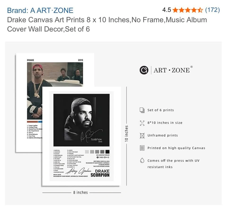 Drake Album Cover Canvas Wall Decor - photo 2