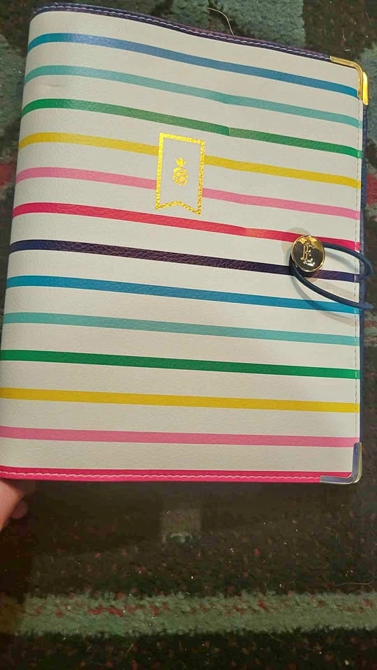 Excellent Condition Emily Ley Journal/Agenda Cover